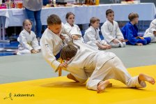 26.04.2026 Wachau JUDO Kids Cup
